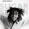 Bob Marley Cover